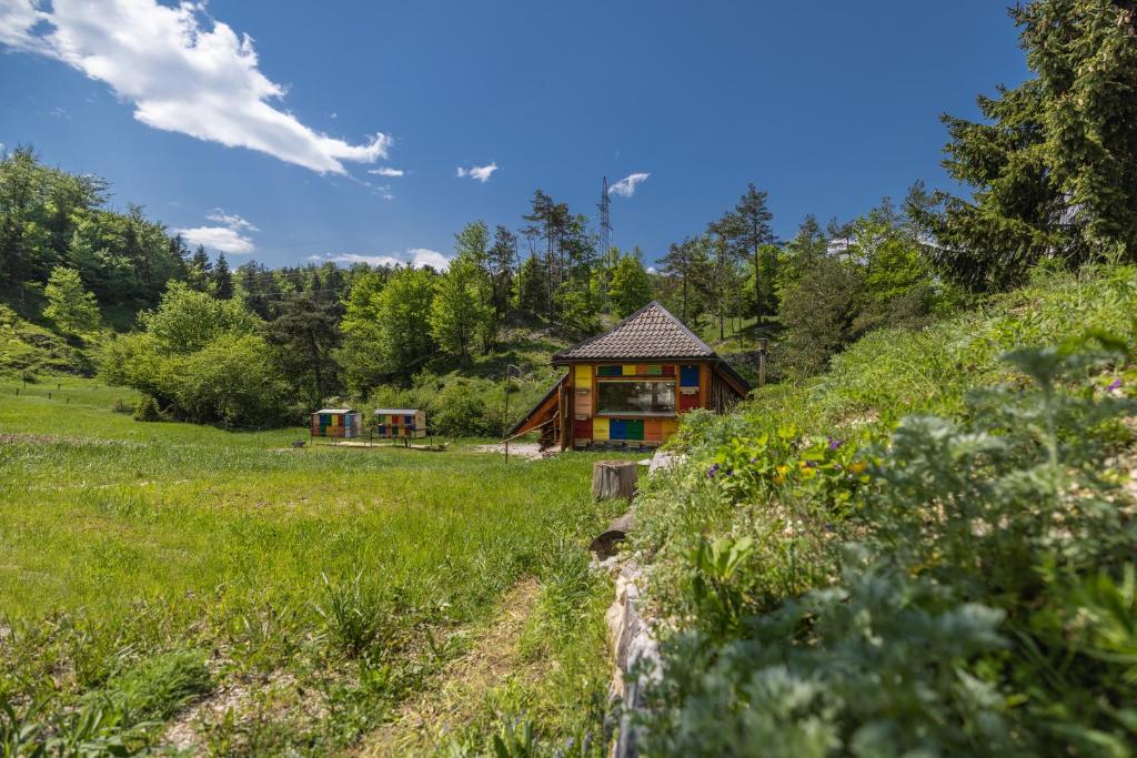 Apiary at Klemen's photo 4