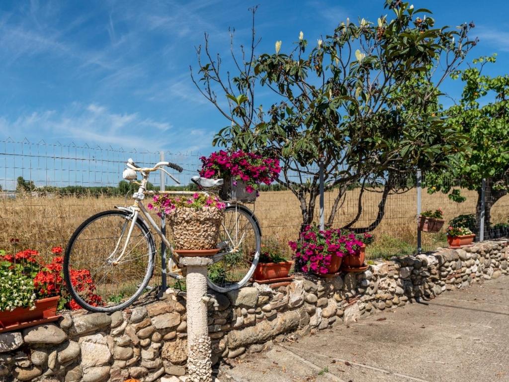 Angelo's Country House photo 1