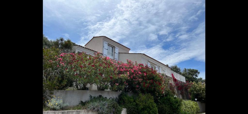 Residence Castugna photo 3