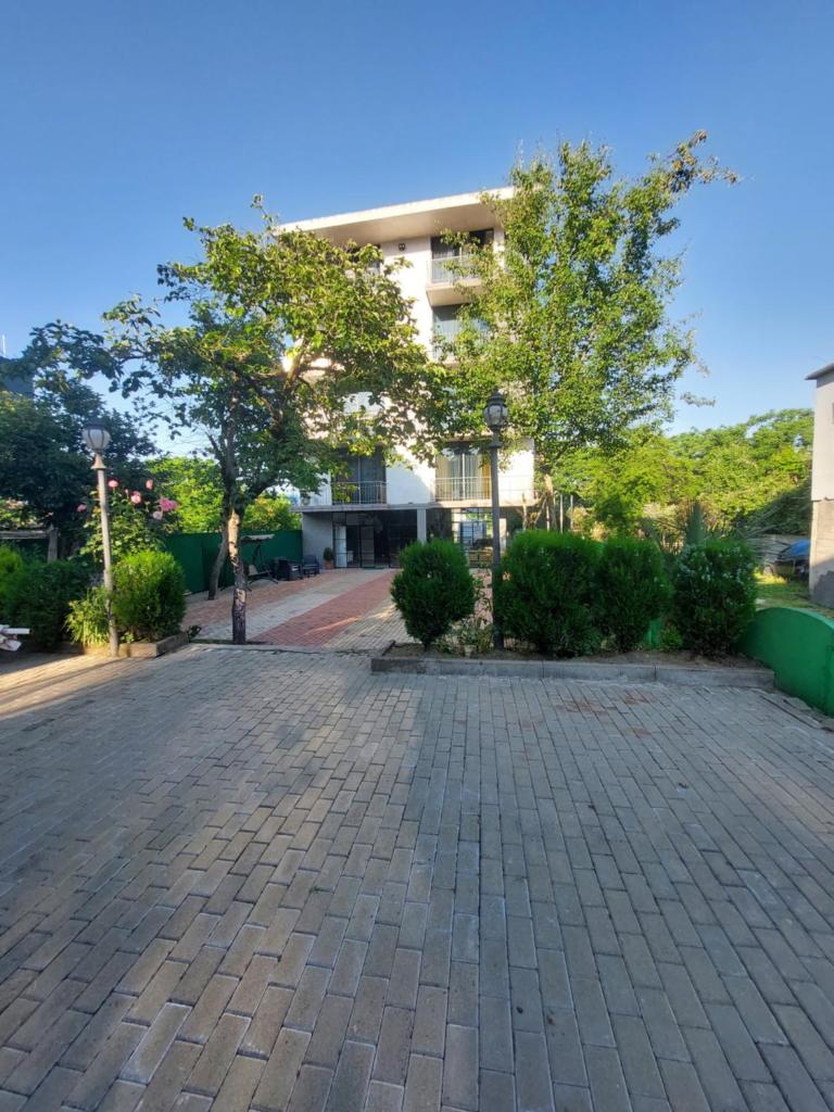 Green Terrace