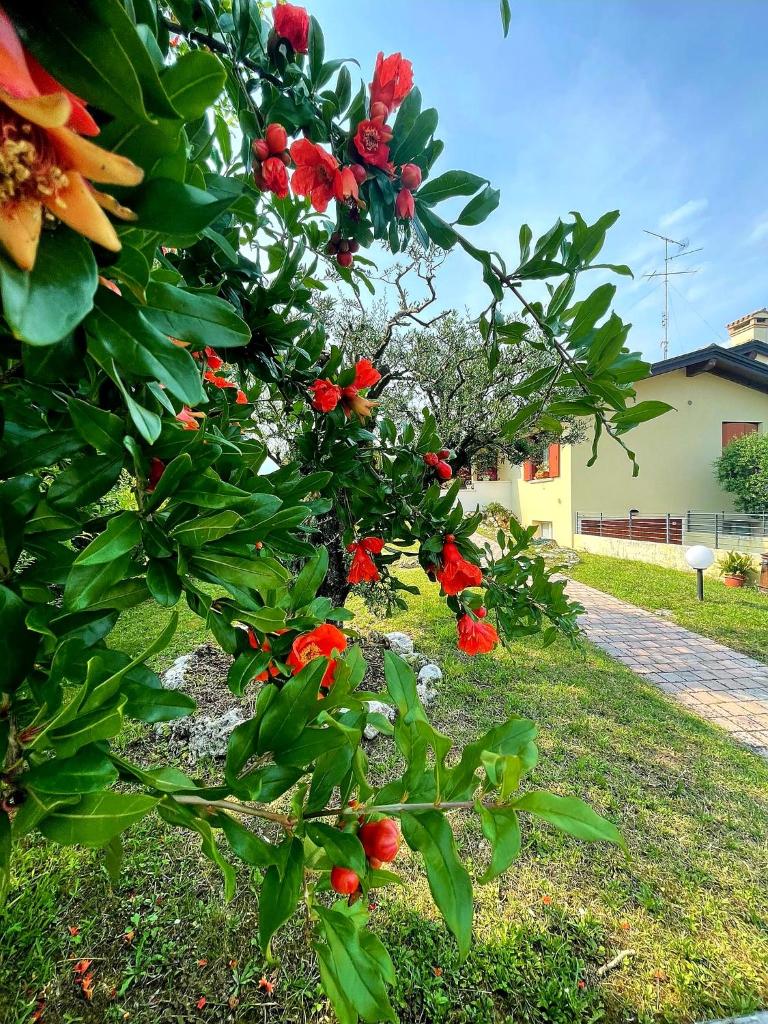 VILLA AMA photo 3