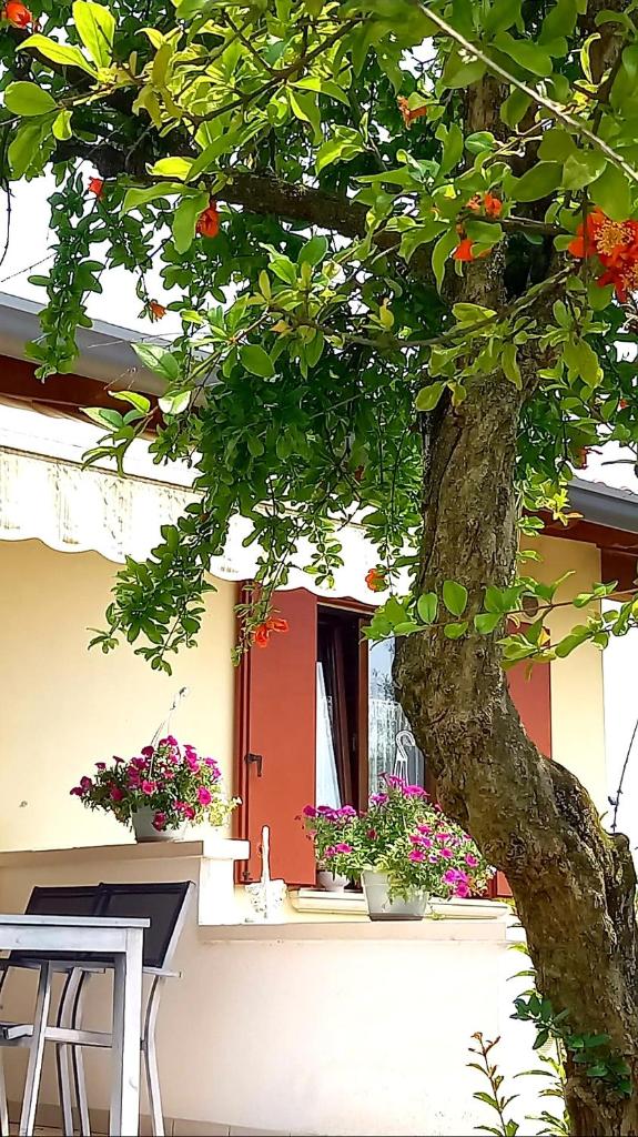 VILLA AMA photo 2