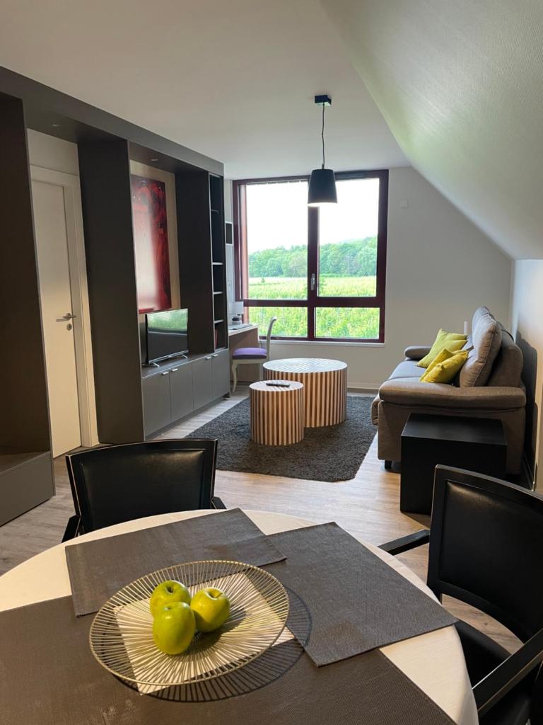 Appartements de Manon au cœur des vignes photo 3