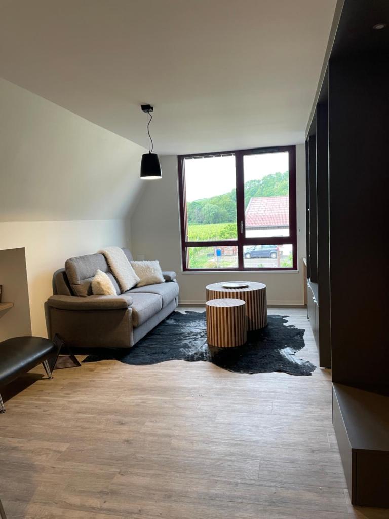 Appartements de Manon au cœur des vignes photo 1