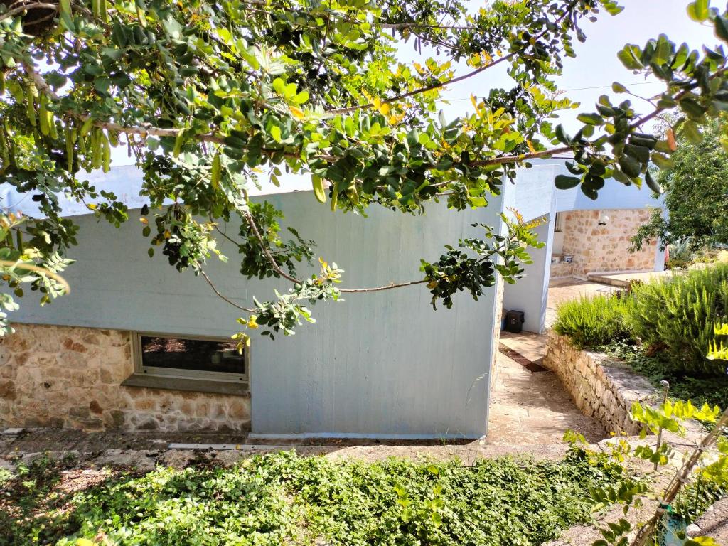 le finestre sul mare photo 1