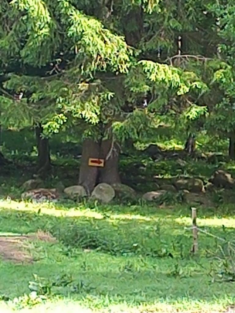 Fredmans skäralids nationalpark photo 1
