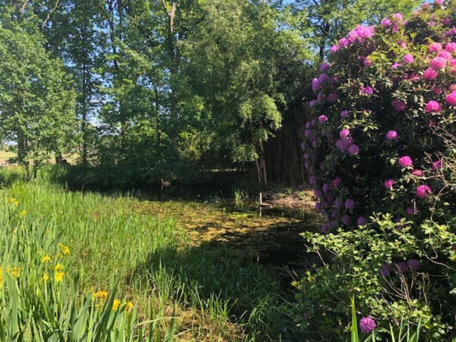Landhuis het Woud. max. 11 pers. with private pool photo 4