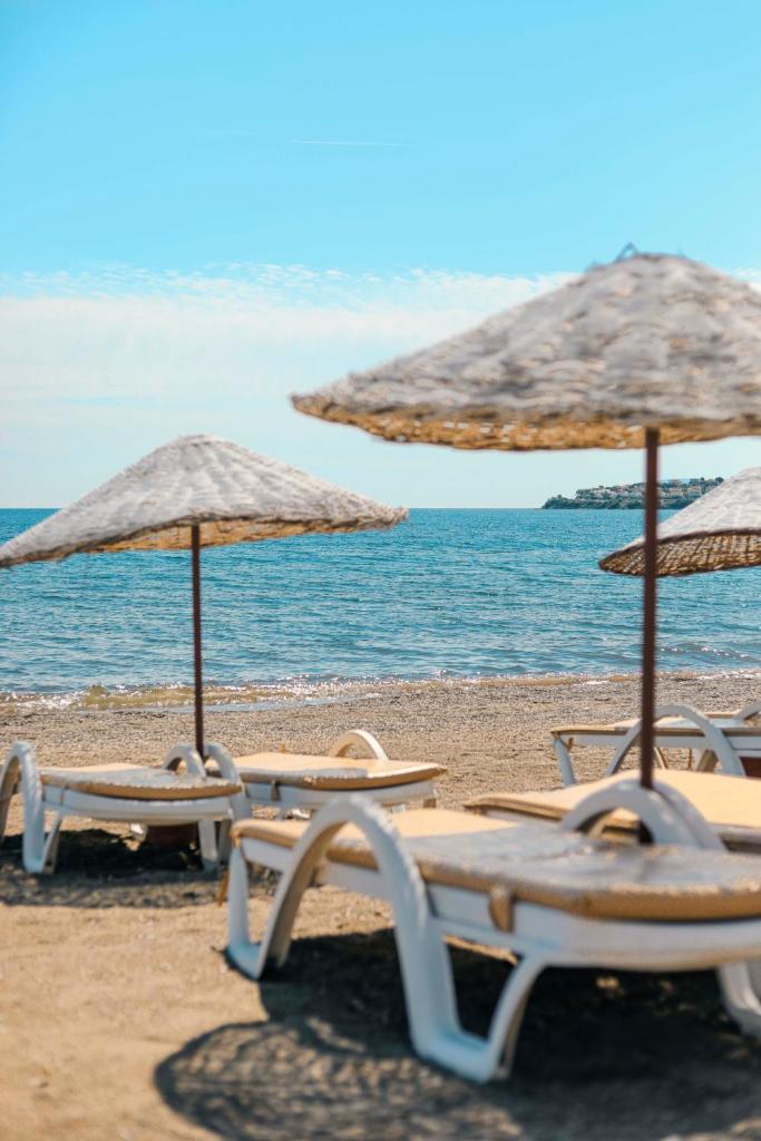 MALİBEACH APART OTEL photo 2