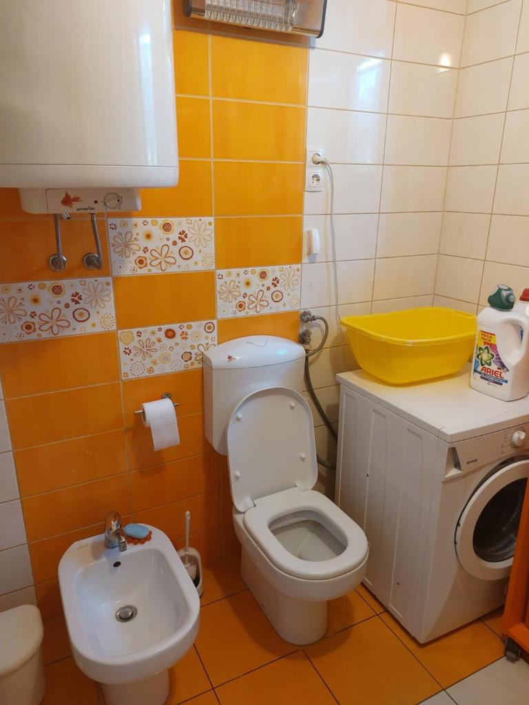 Apartma Vida photo 3