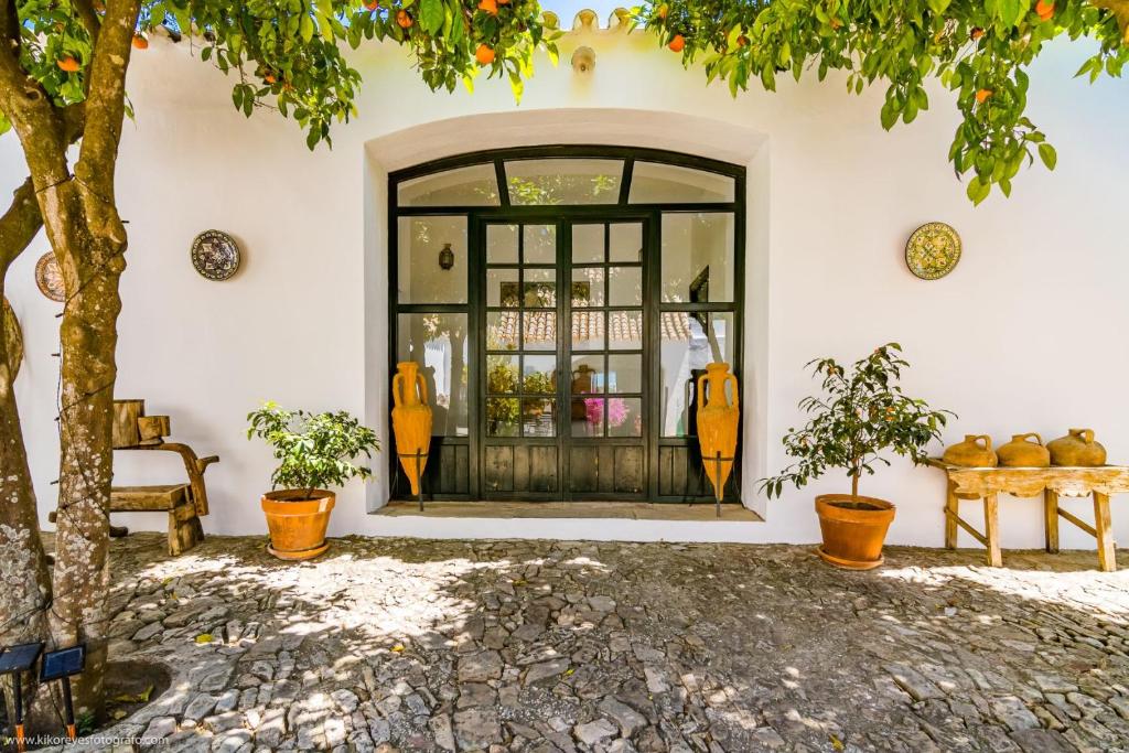 Cortijo El Indiviso photo 3