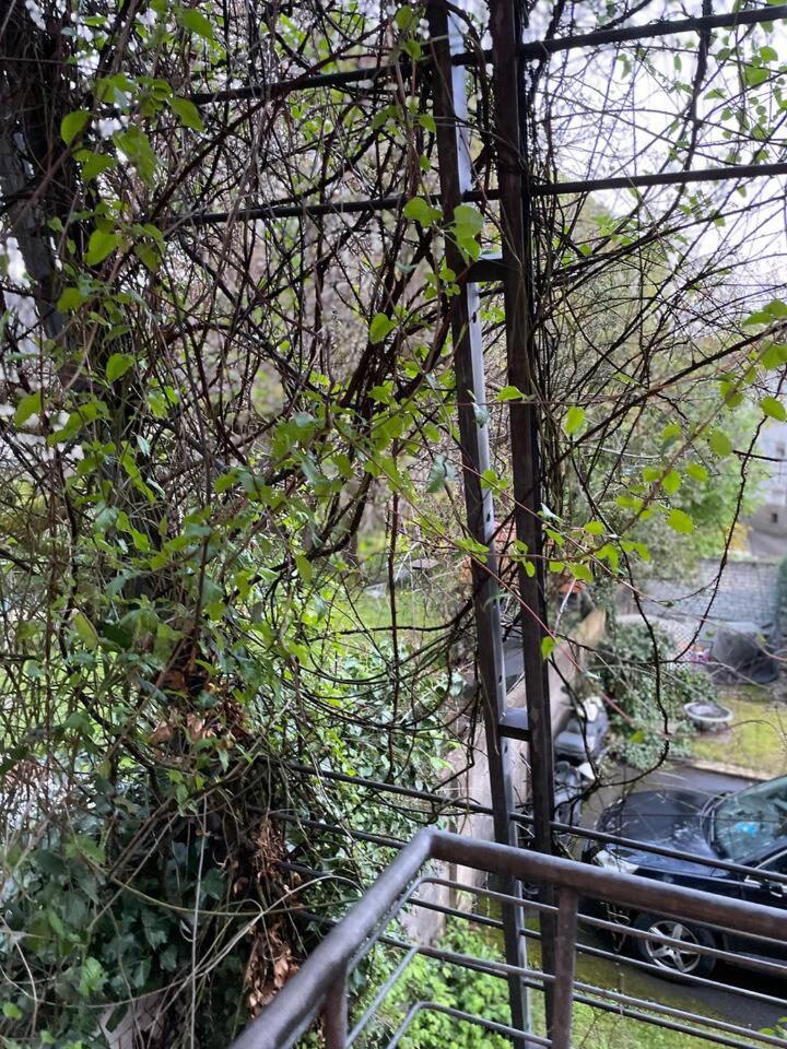 Schöne Wohnung in zentraler Lage im Ruhrgebiet photo 2