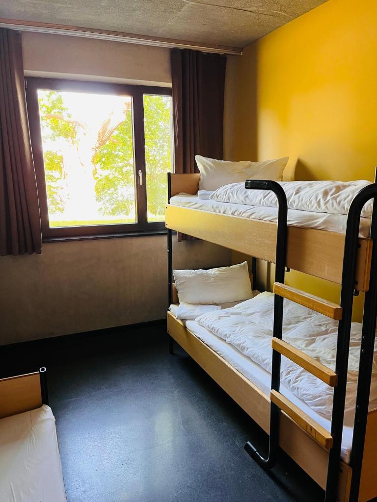 Zweirad Hotel Lenne photo 3