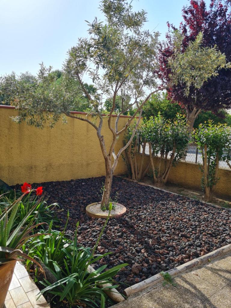 La maison ensoleillée photo 3