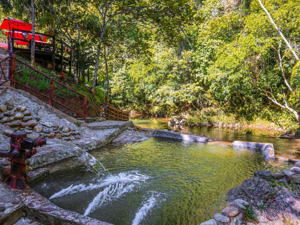 Glamping Río Claro photo 4