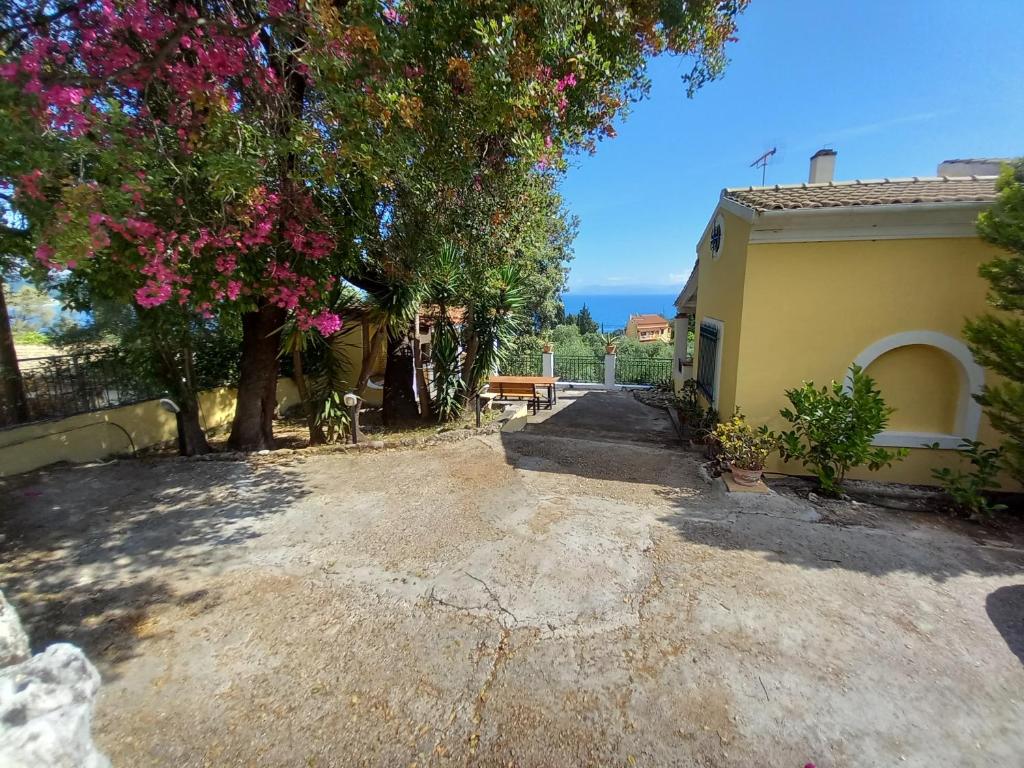 Olea Home photo 3