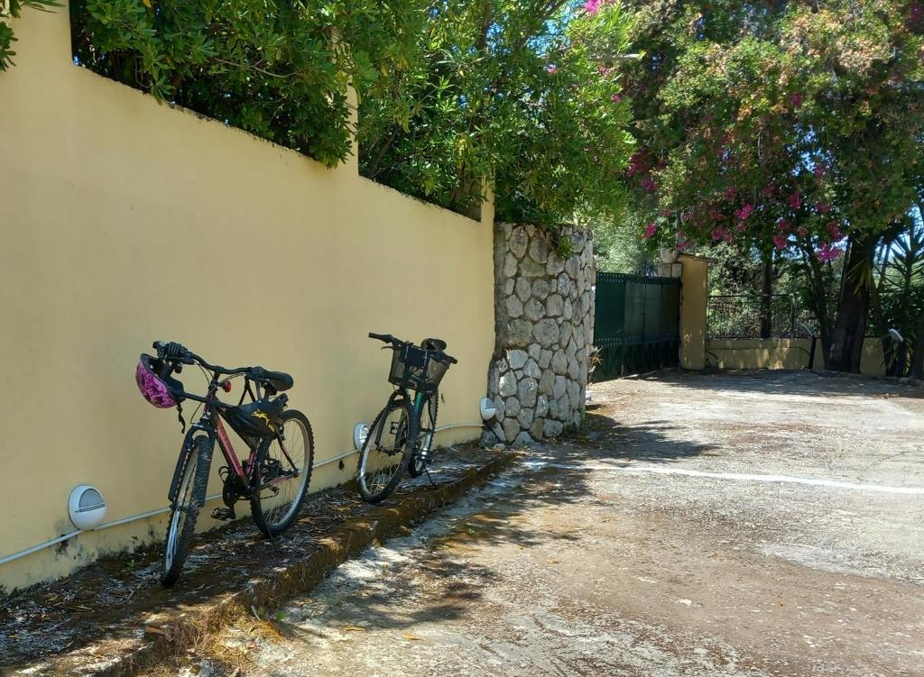Olea Home photo 4
