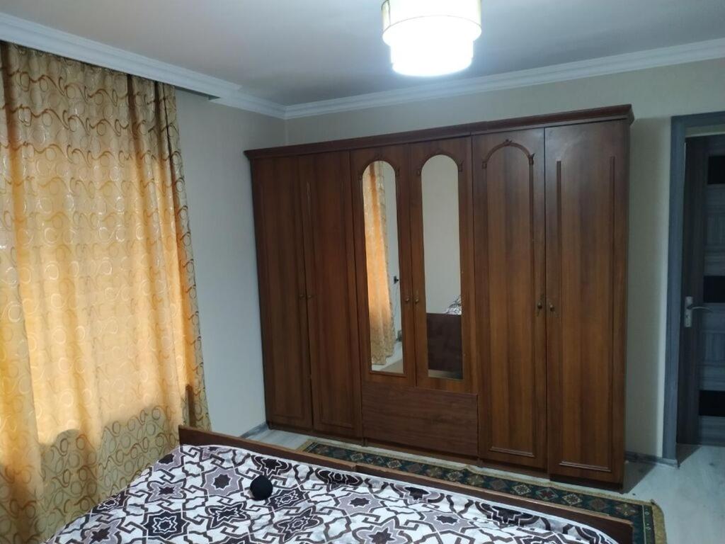 Gabala ev photo 1