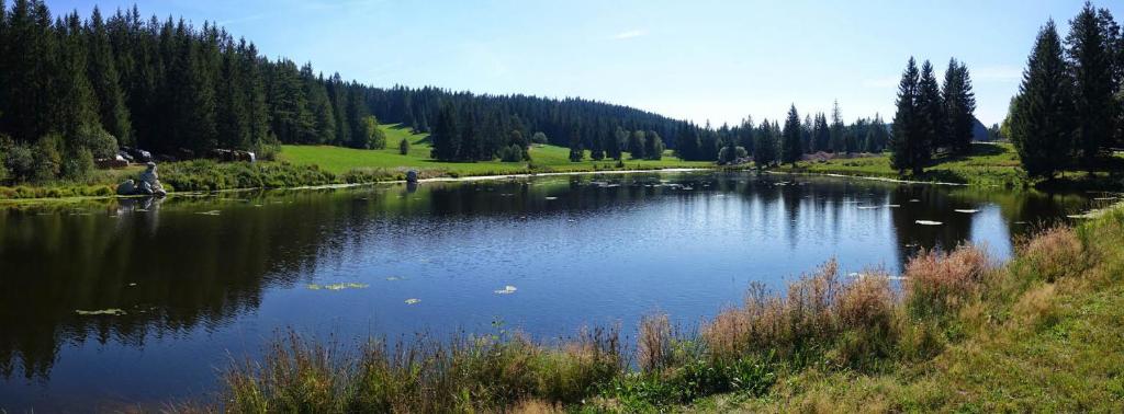 Urlaub auf 1.000 Meter Höhe mit Pool und Sauna photo 3