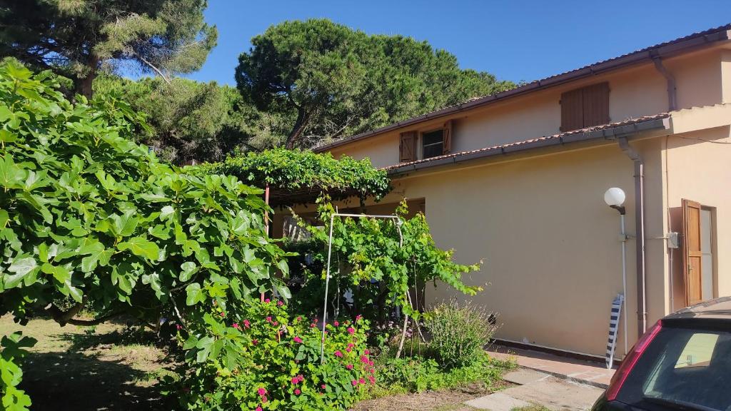 Villa mimosa photo 2
