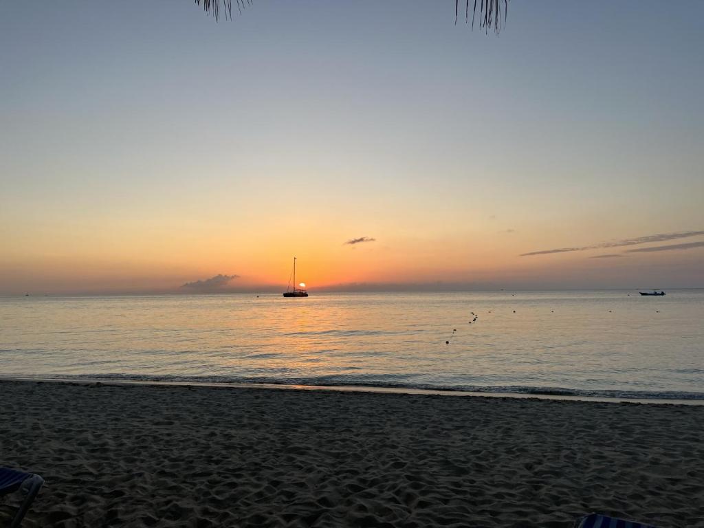 Seacret Studios - Cozy Jamaican Retreat apts