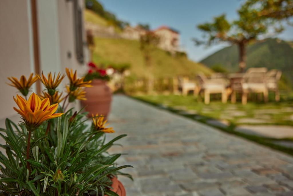 "La Casa dei Gelsi" - Panorama Lodge by Stay Generous photo 3