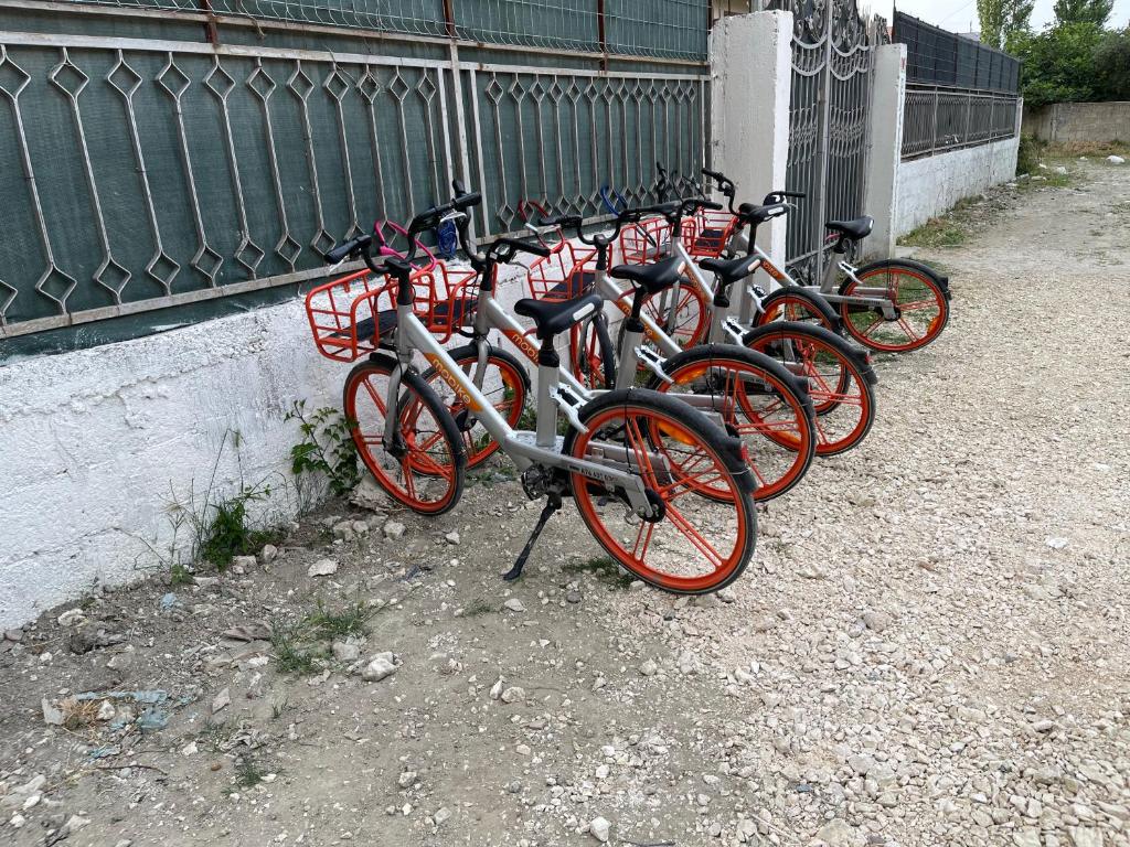 Vlora Backpackers Hostel & Bar LUNGOMARE photo 2
