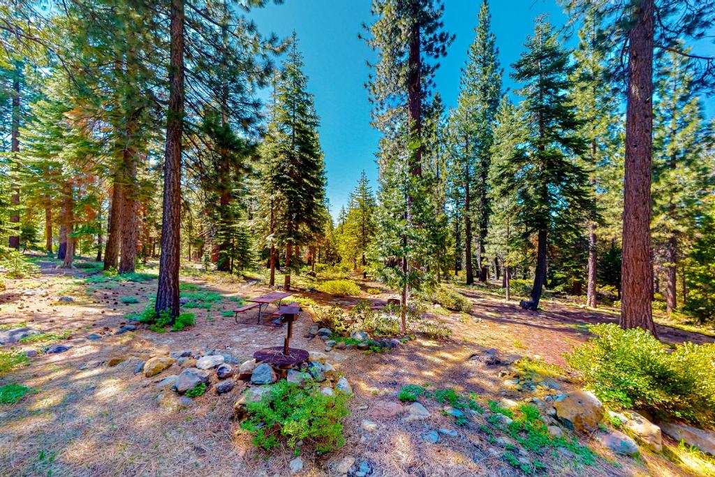 Epic Mountain Escape photo 3