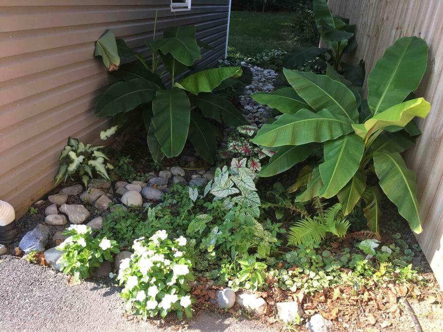 Crow's Nest - Private Guest Apt Near Bike Trail/3.7 mi to Beach photo 1