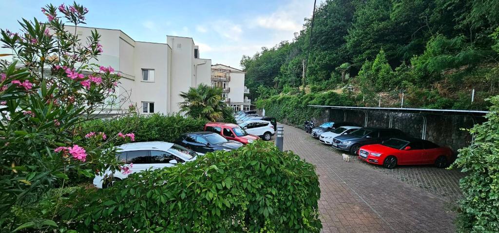Boutique Hotel Acacia photo 2