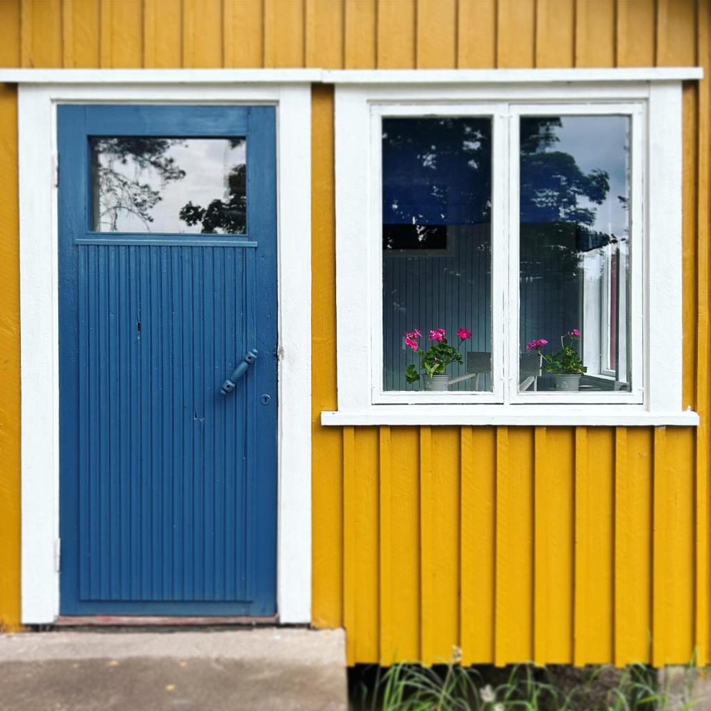 Suojelumetsän sylissä oleva talo lähellä vesistöjä photo 4