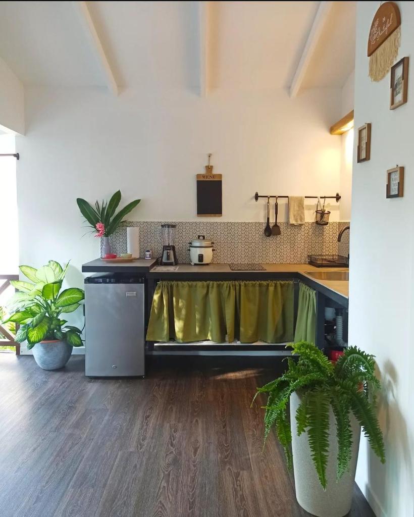 Chilamate Holiday House photo 2
