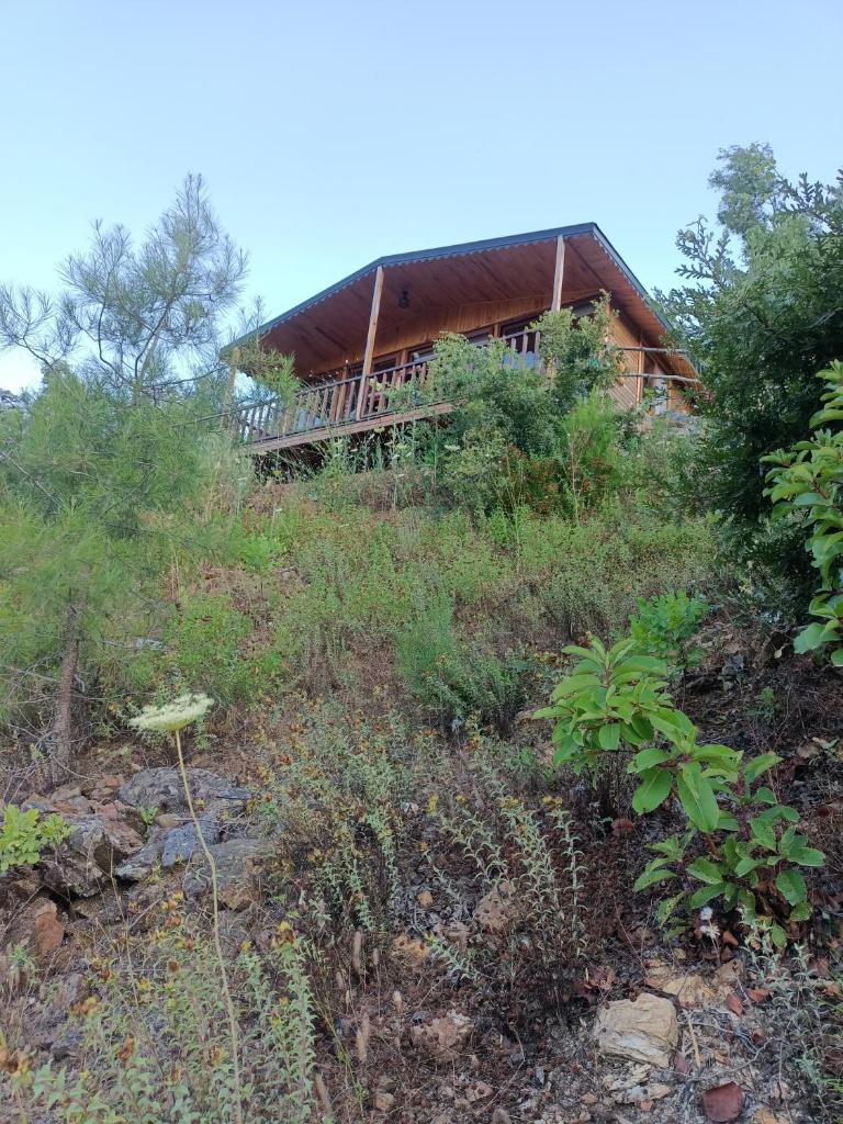 Hergül Holiday Village photo 3