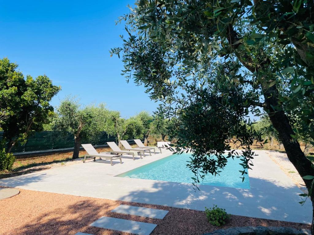 TRULLO FERNANDO photo 4