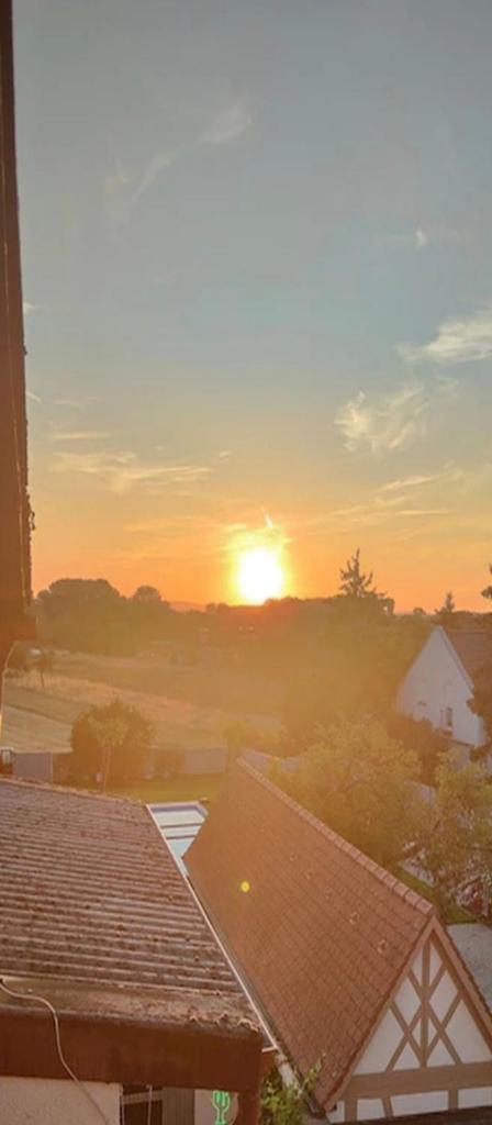 Urlaub am Rhein photo 2