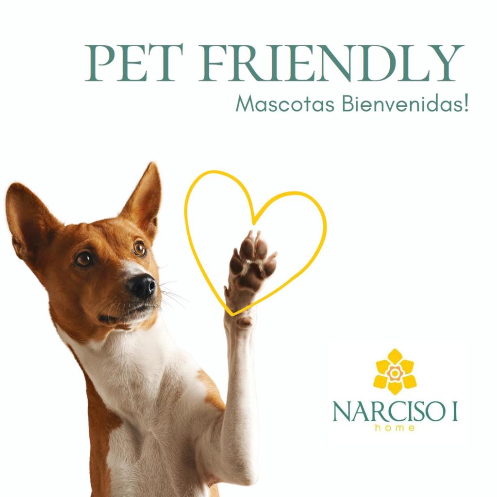 Narciso Home photo 1
