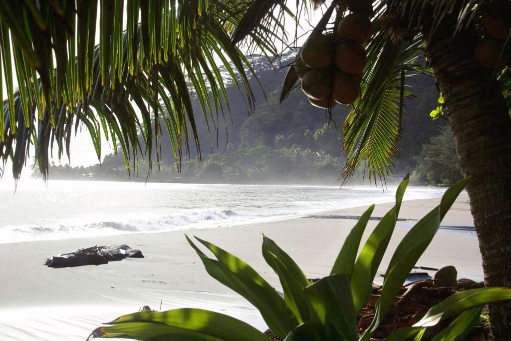 TAHITI - Fare Te Pari photo 1
