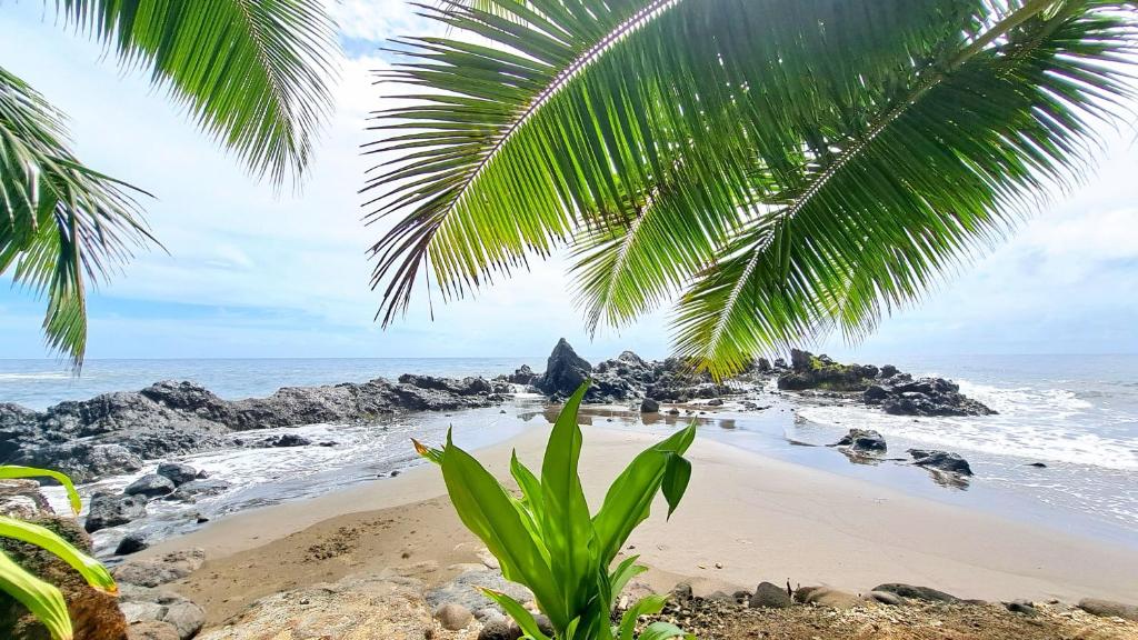 TAHITI - Fare Te Pari