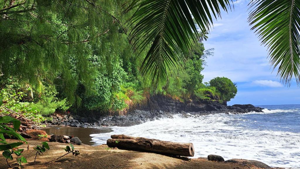TAHITI - Fare Te Pari photo 4