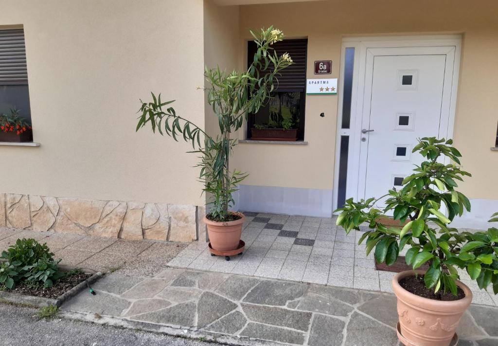 Apartma Kolpa photo 1