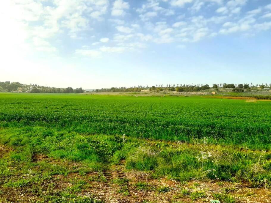 Bein Tavor Lekineret- quiet cabin in Neve Ilan photo 4