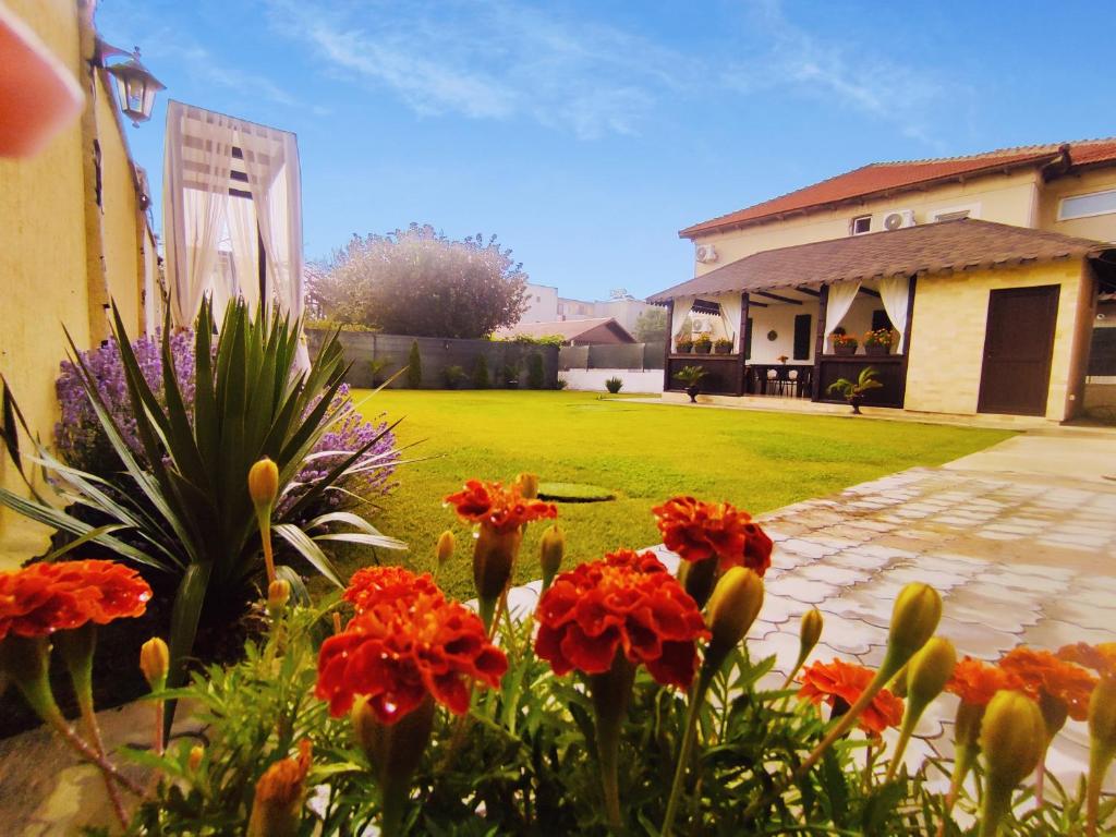 Casa Daniela photo 1