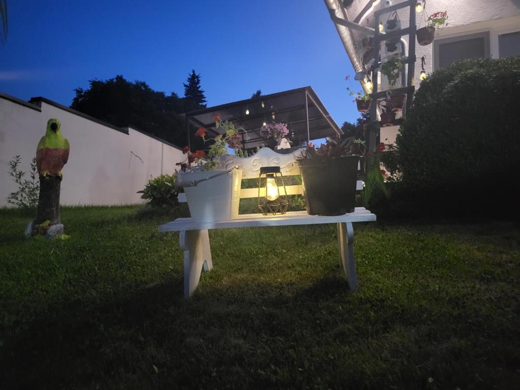 Vila Jovana photo 1