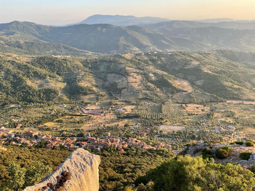 Apartment Bruno photo 4
