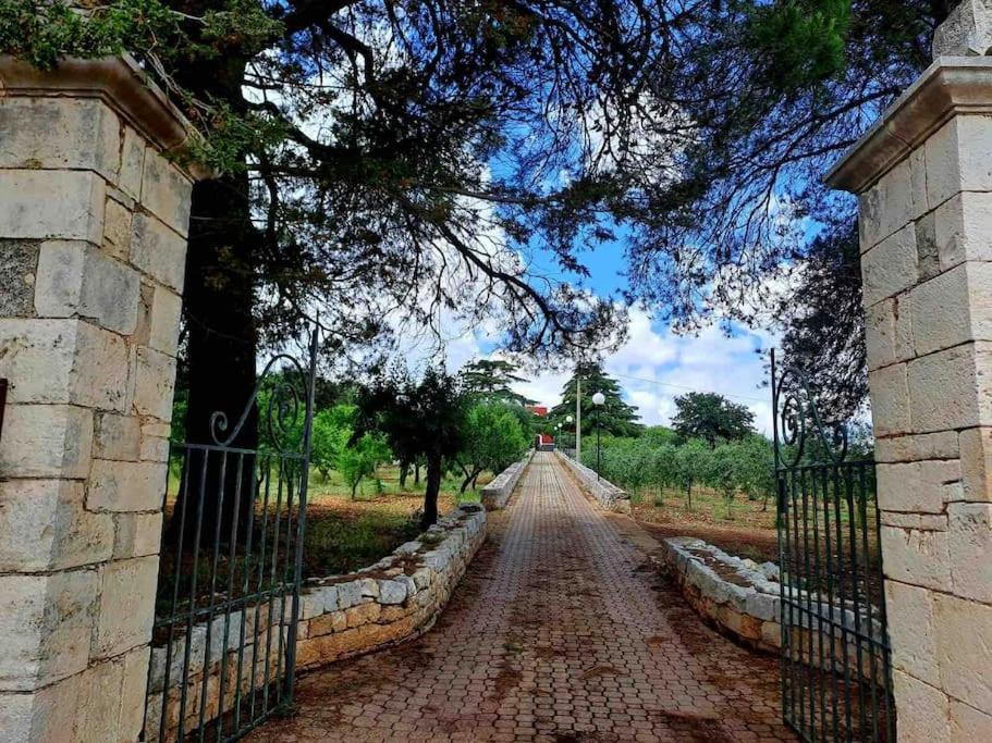 Casina foggia dell'albero photo 3