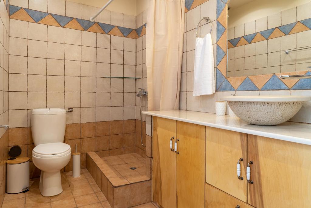 convexa domus photo 4