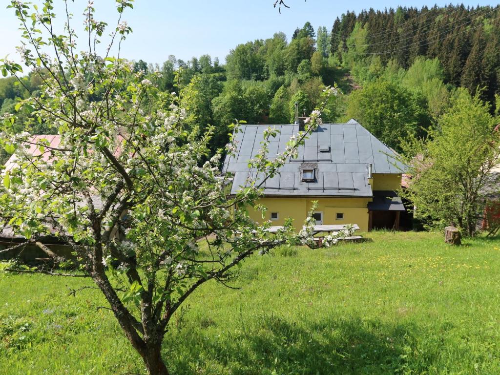 Villa Svoboda na Úpou by Interhome photo 4