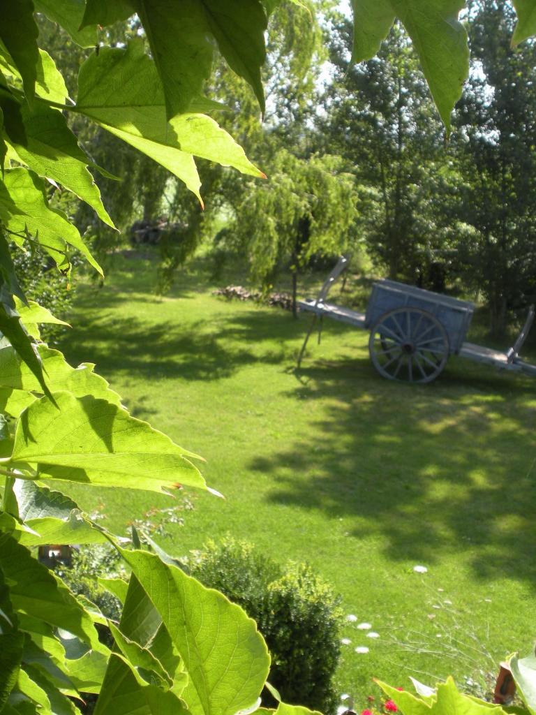 Ferme Saint Joseph photo 4