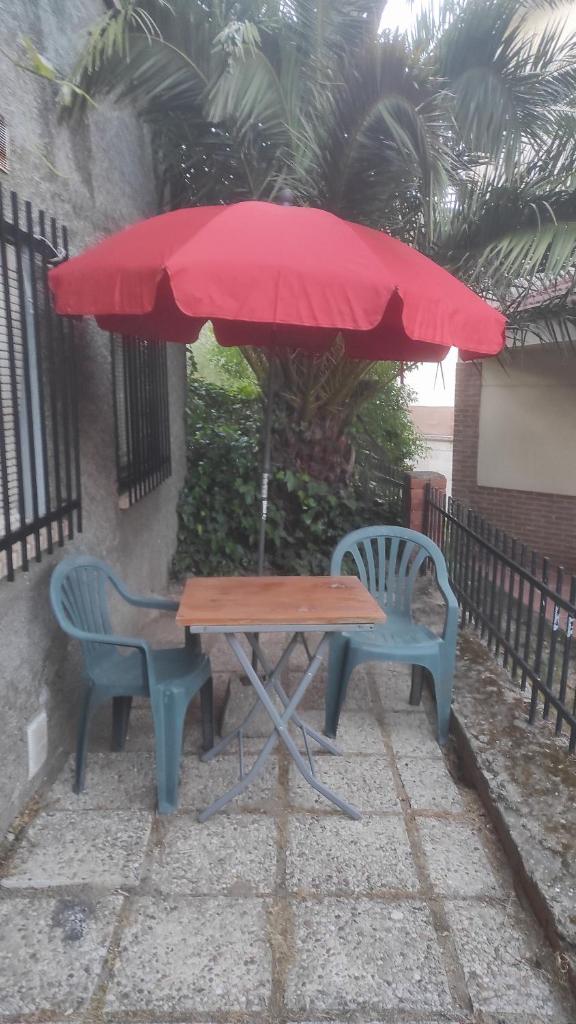 El Olivar photo 3