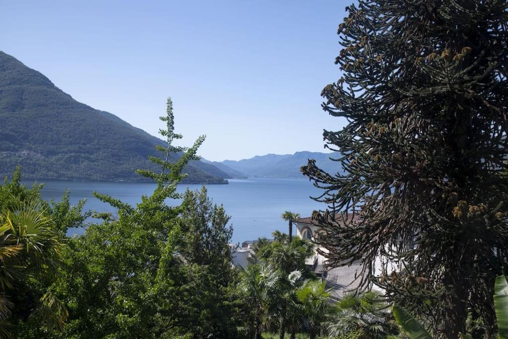 Lake Blues photo 4