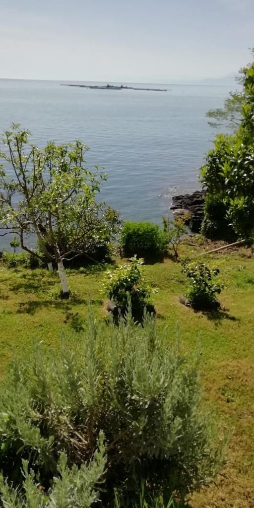 Sakın ev photo 2
